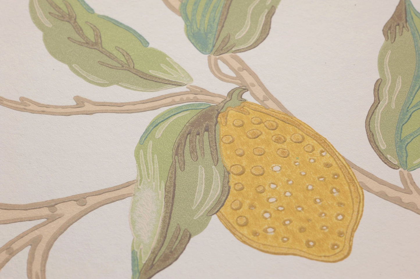 Lemon Tree Cream White