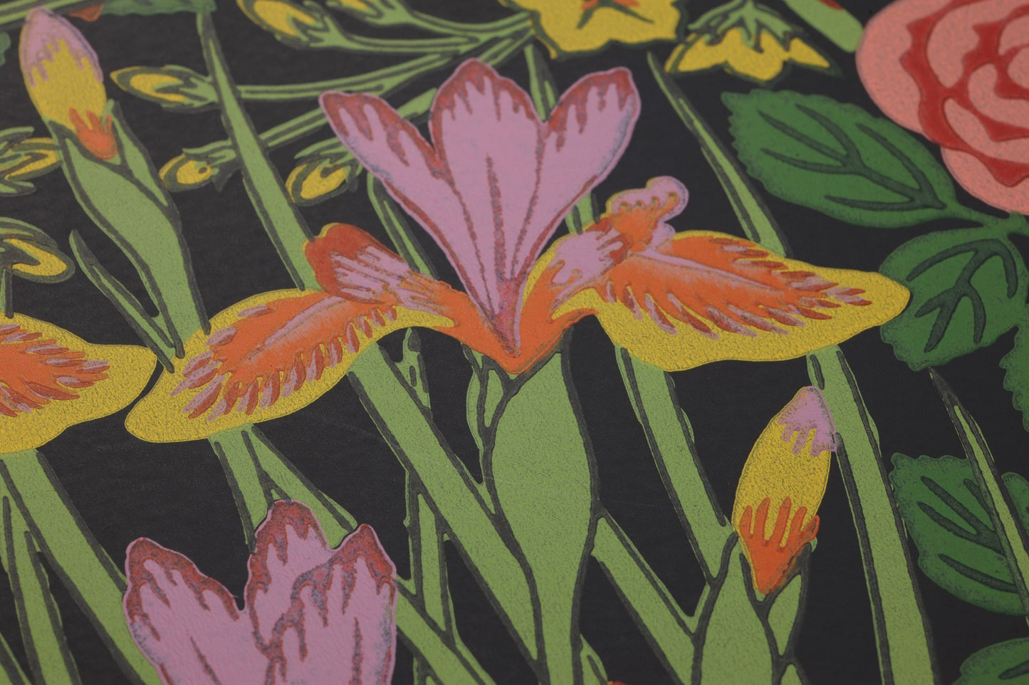 Campanula Beige Red