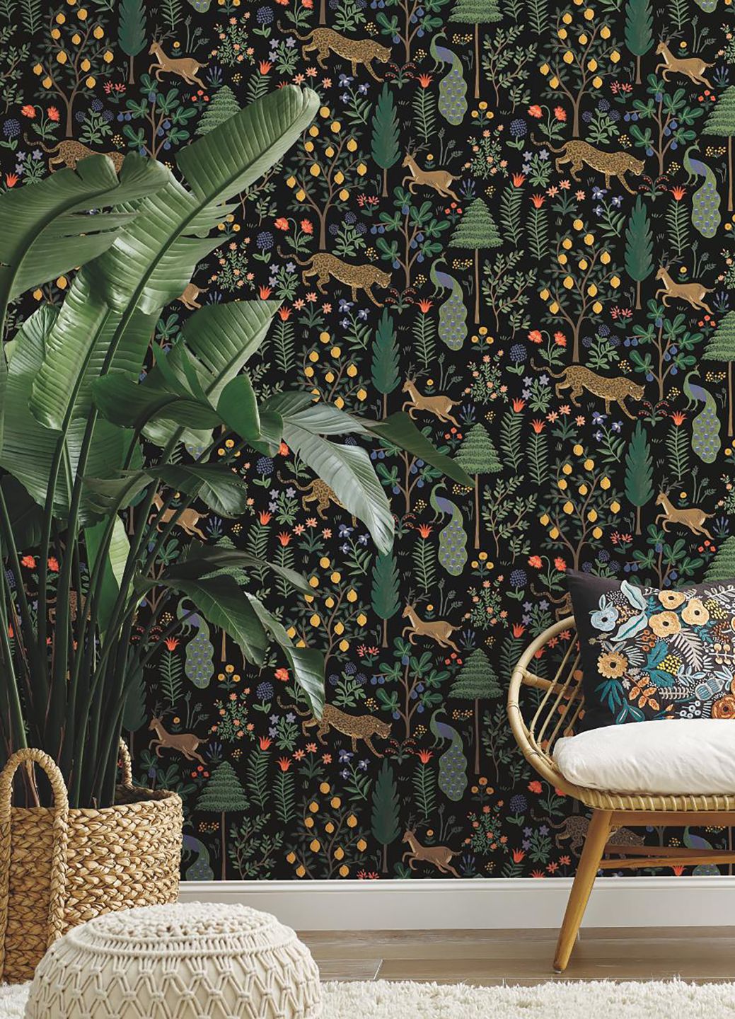 Menagerie Black
