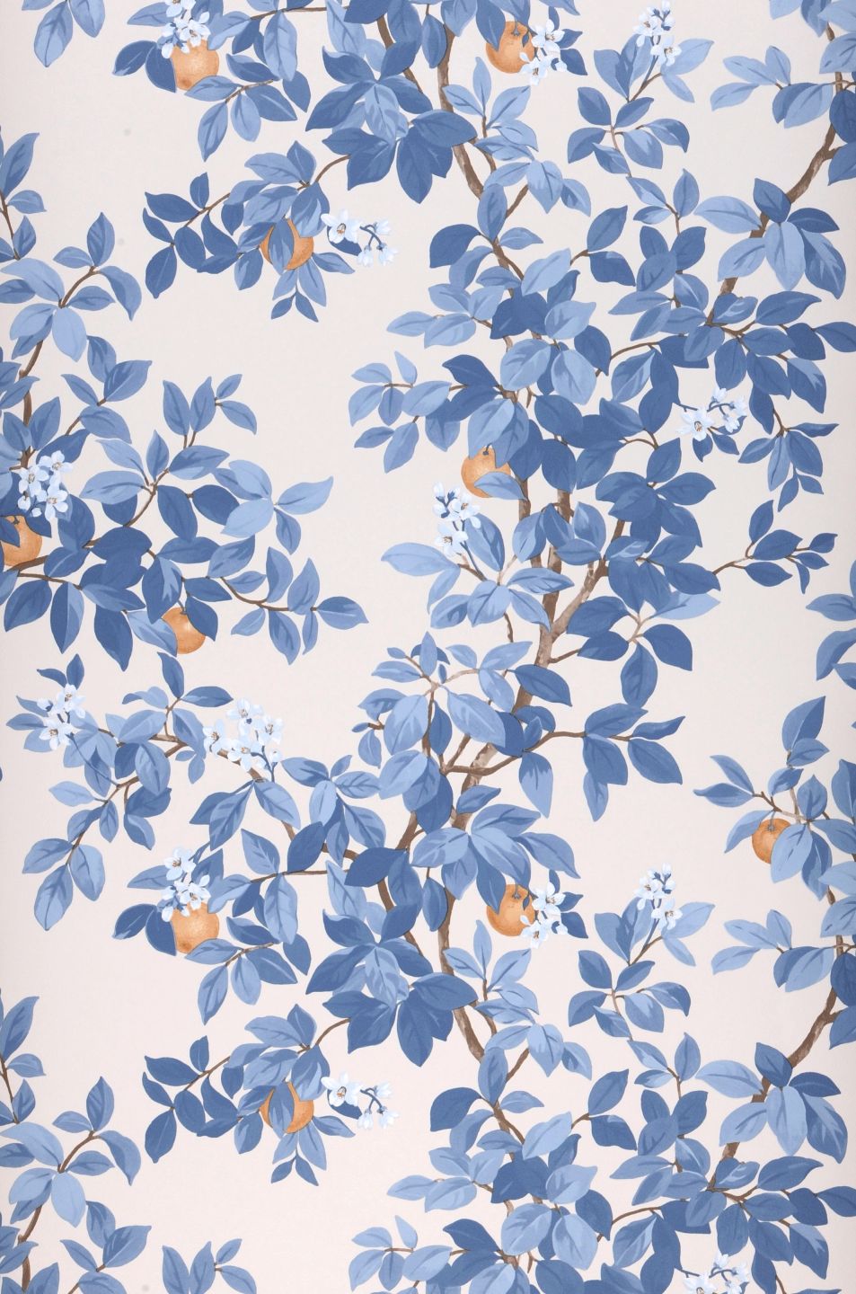 Orange Grove Shades Of Blue