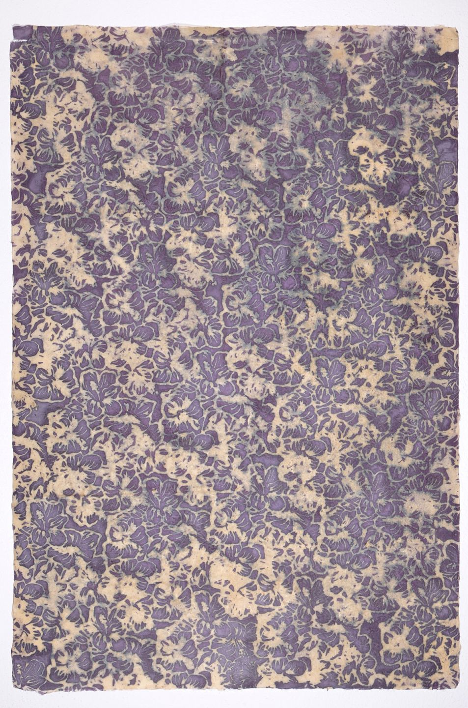  Ekajata Lilac
