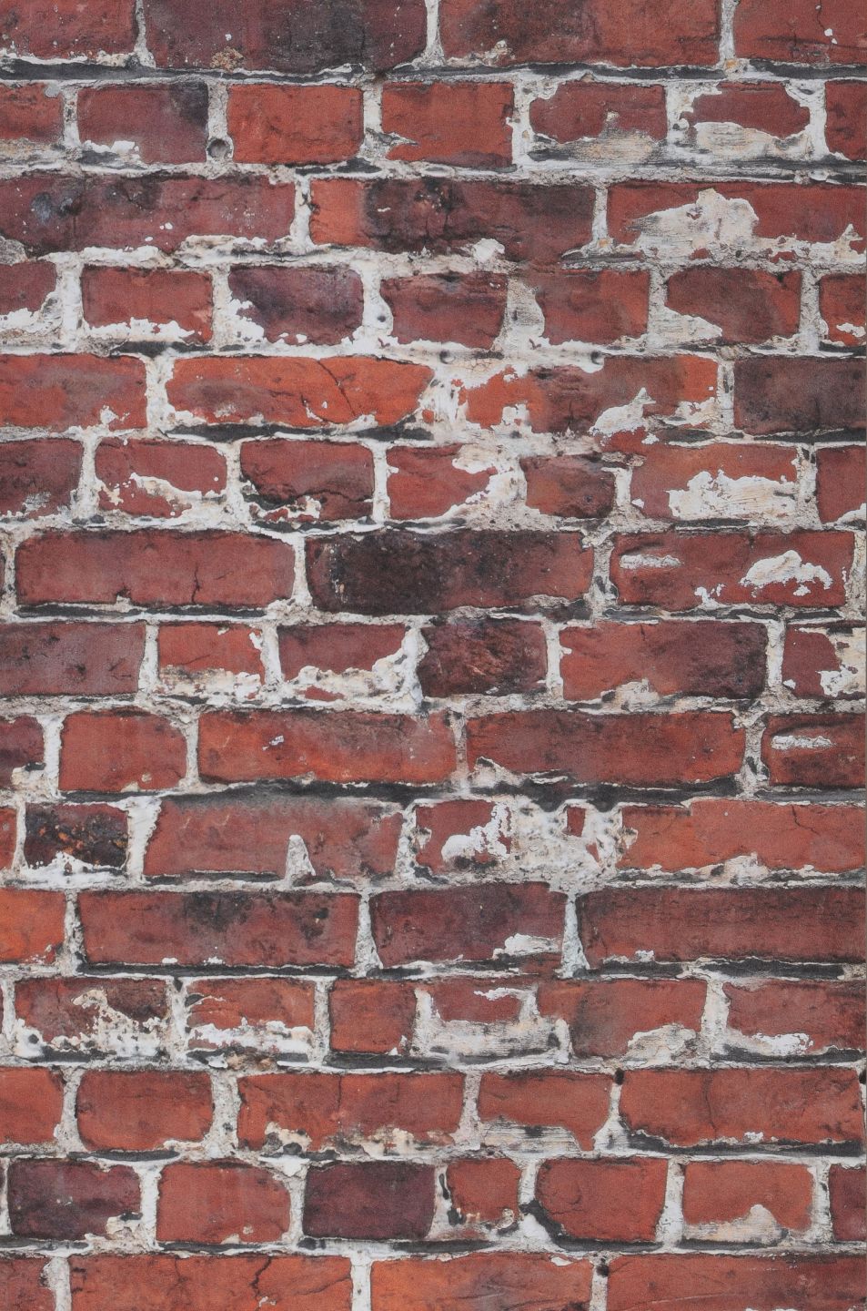  Brick Wall Copper Brown