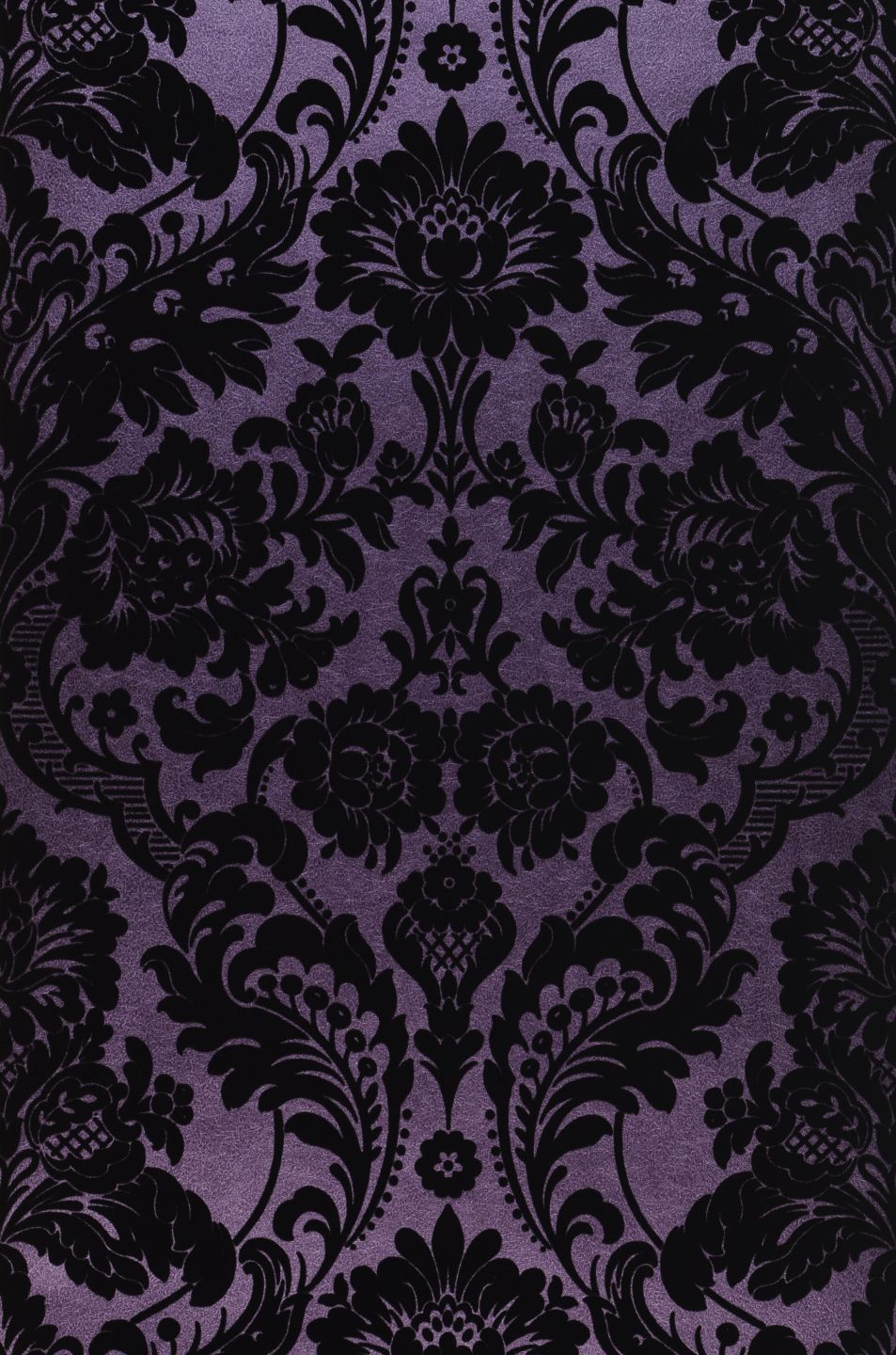  Okina Violet
