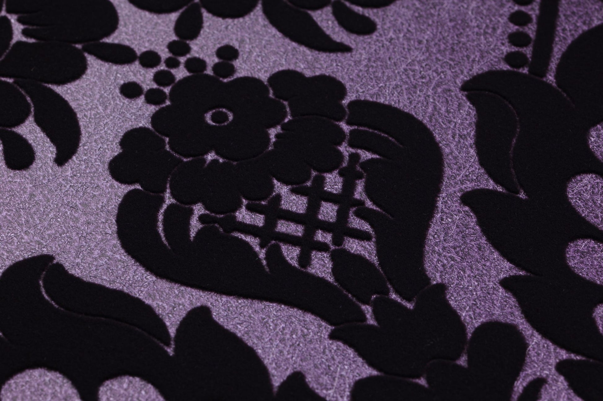  Okina Violet
