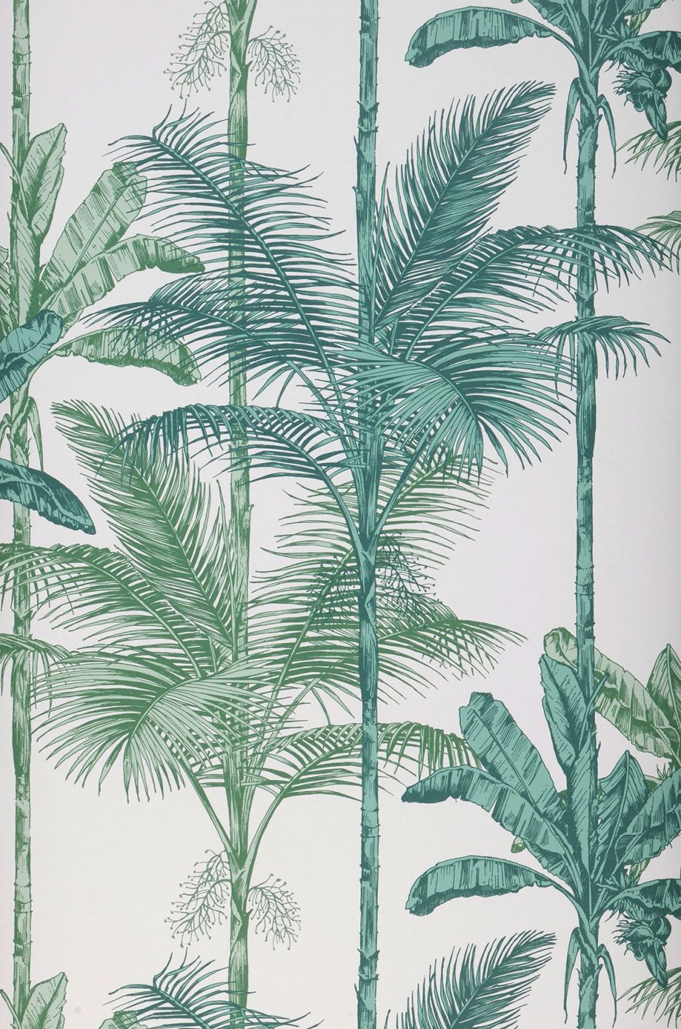  Tamaris Shades Of Green
