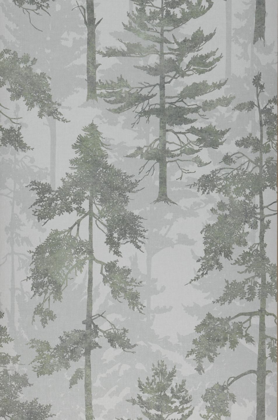  Forest Bathing Green Grey