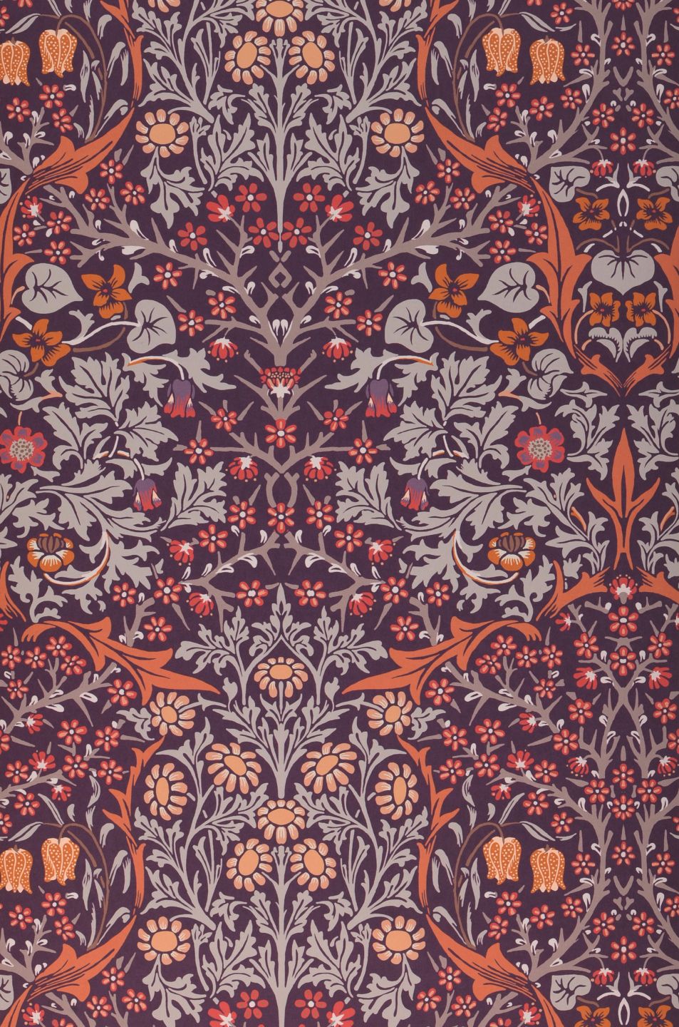  Blackthorn Crimson Violet