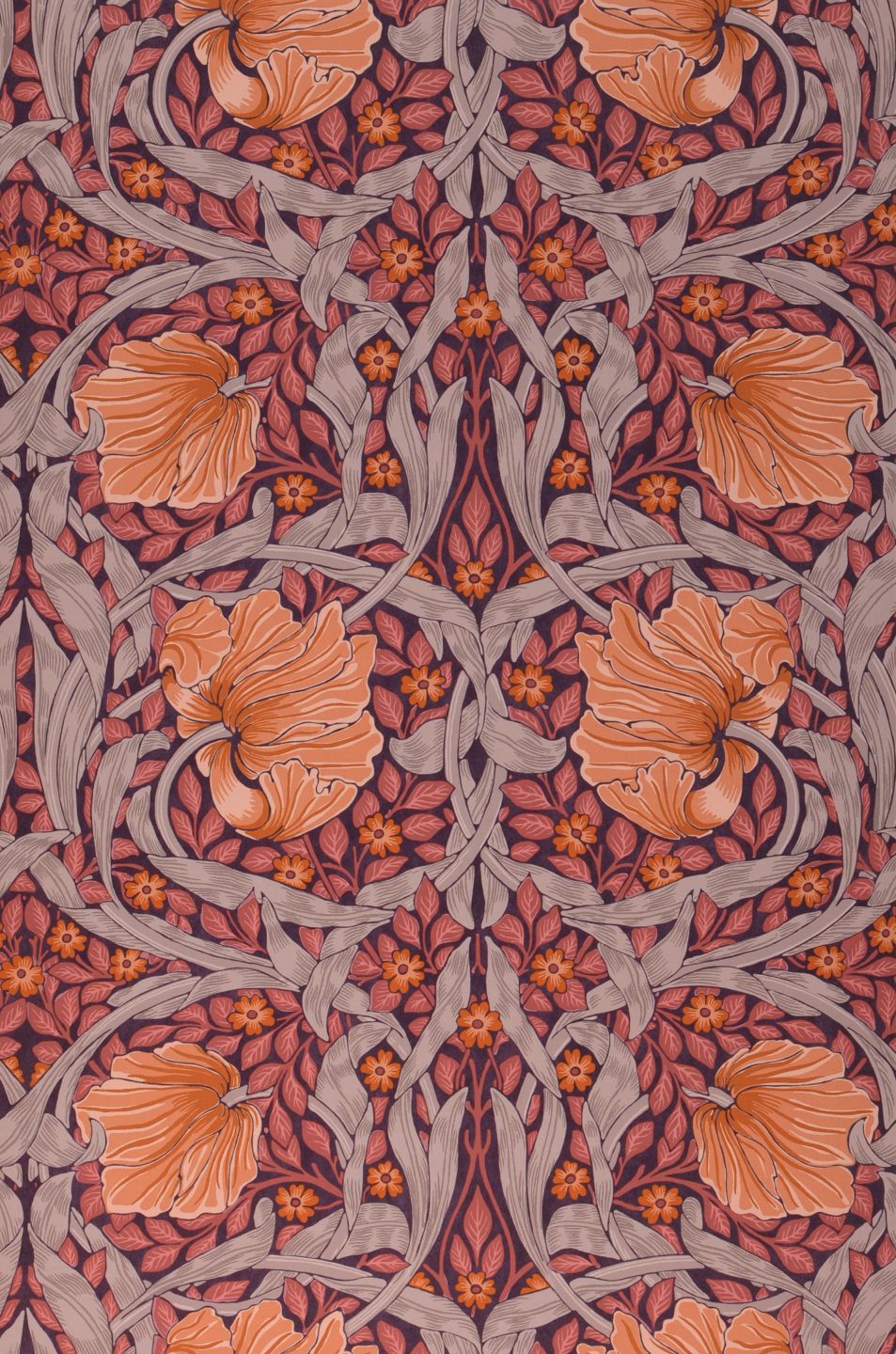 Pimpernel Pale Orange-brown