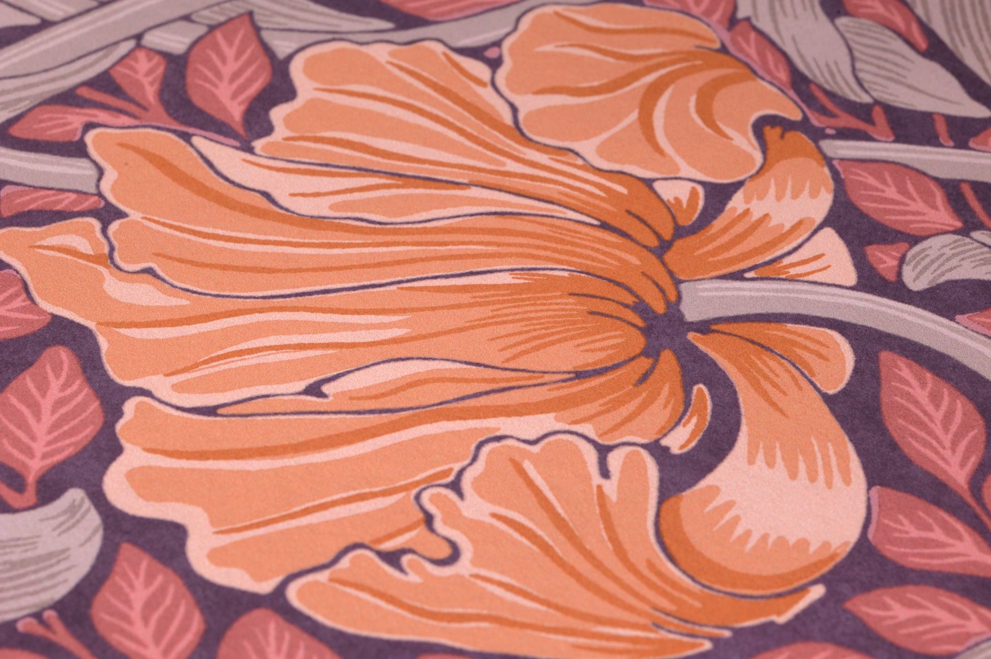  Pimpernel Pale Orange-brown