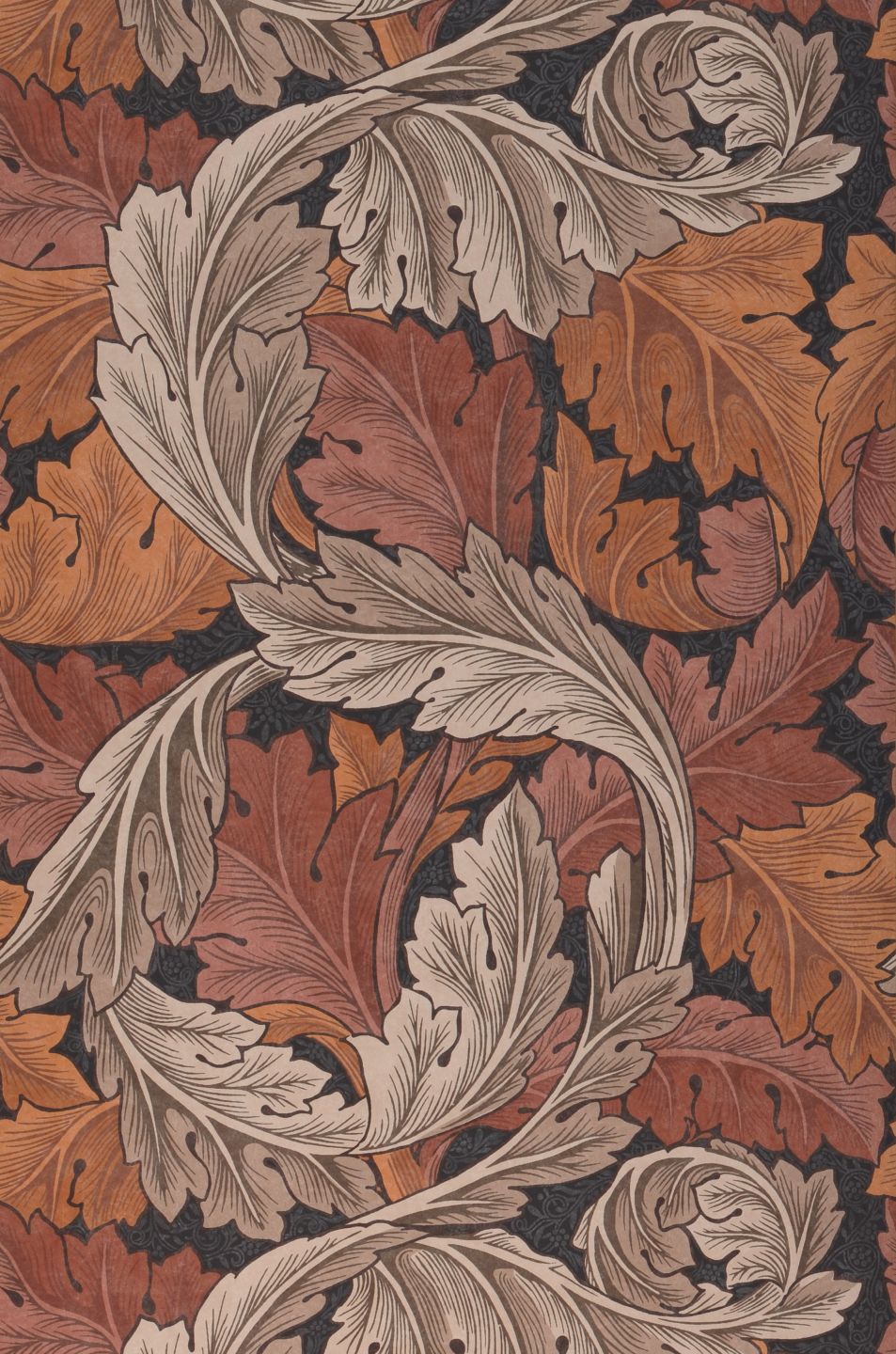  Acanthus Brown