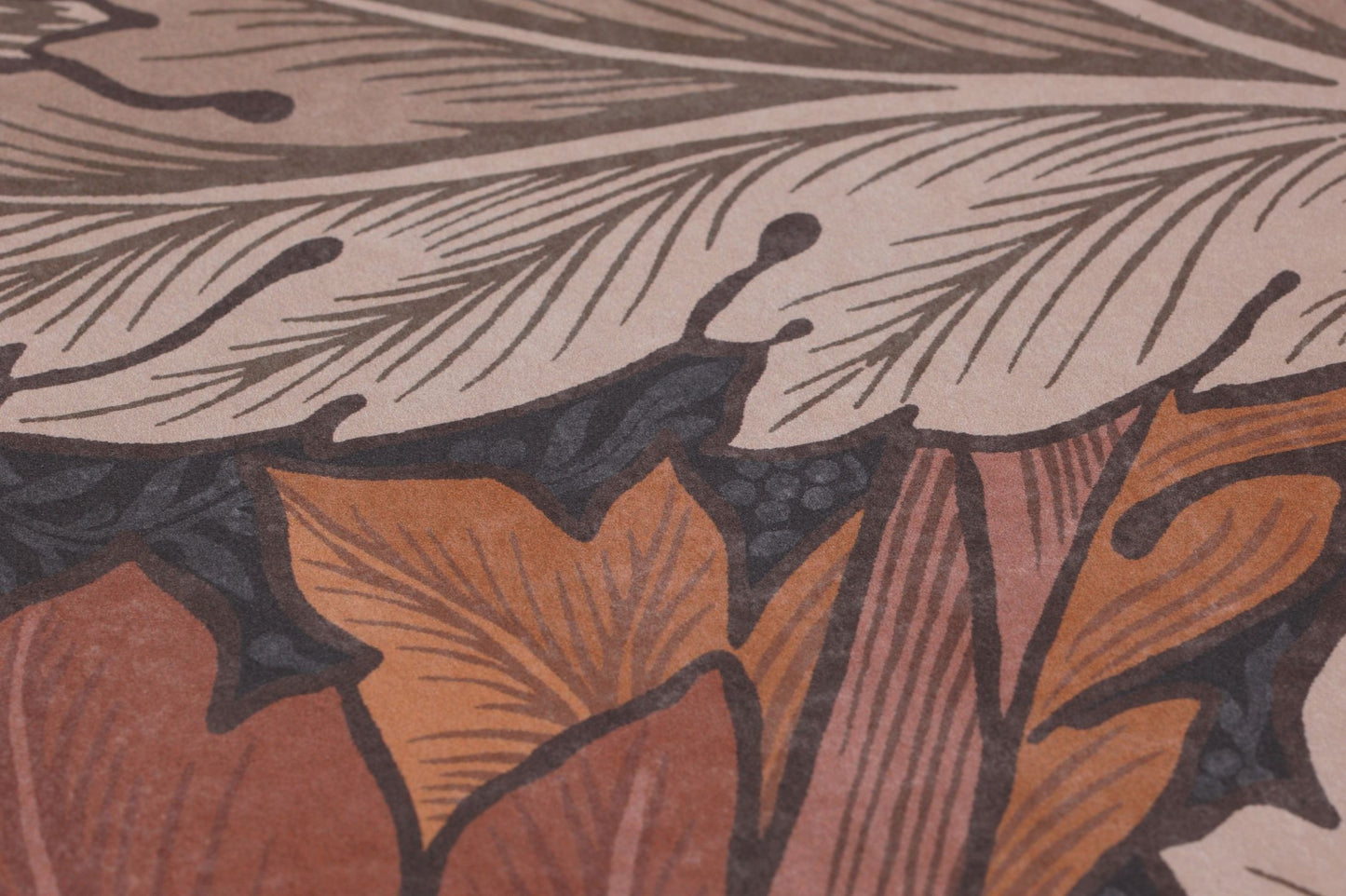  Acanthus Brown