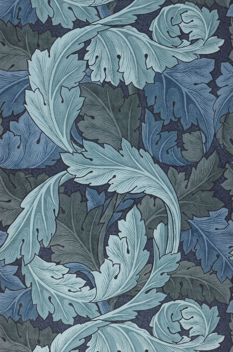  Acanthus Blue