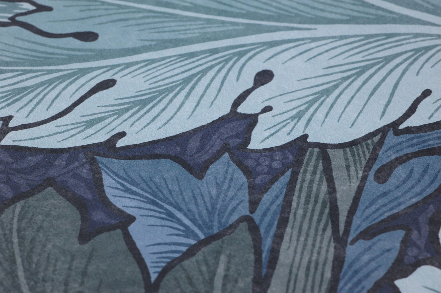  Acanthus Blue