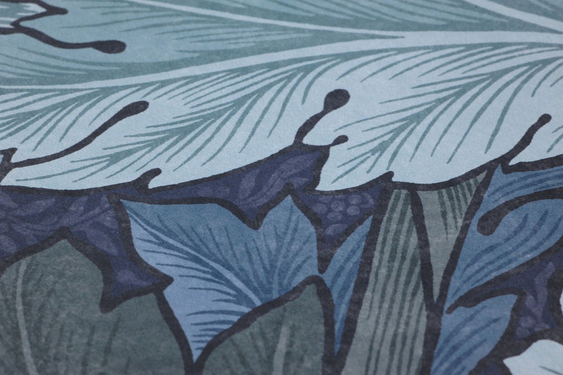  Acanthus Blue