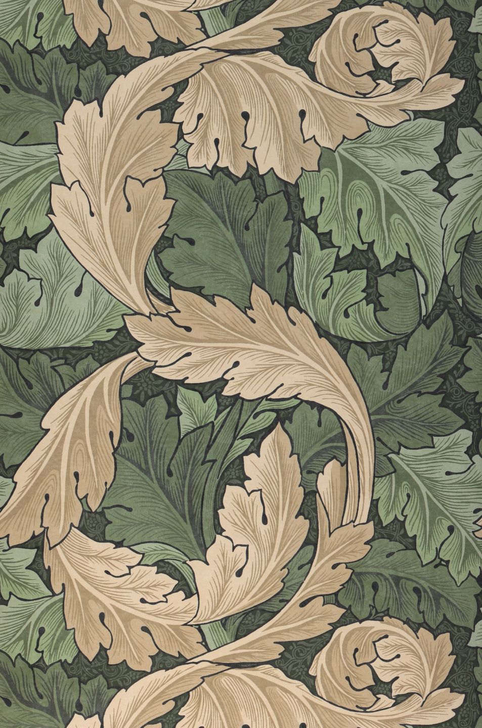  Acanthus Green