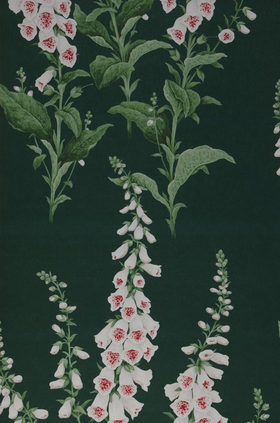  Moonlit Foxglove Pine Green