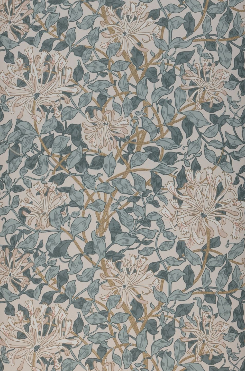  Honeysuckle Neo Blue Green