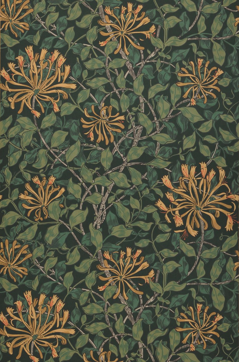  Honeysuckle Neo Fir Tree Green