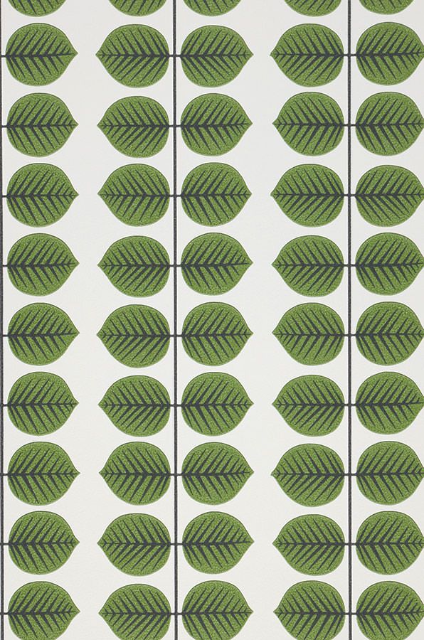  Leonarda Green