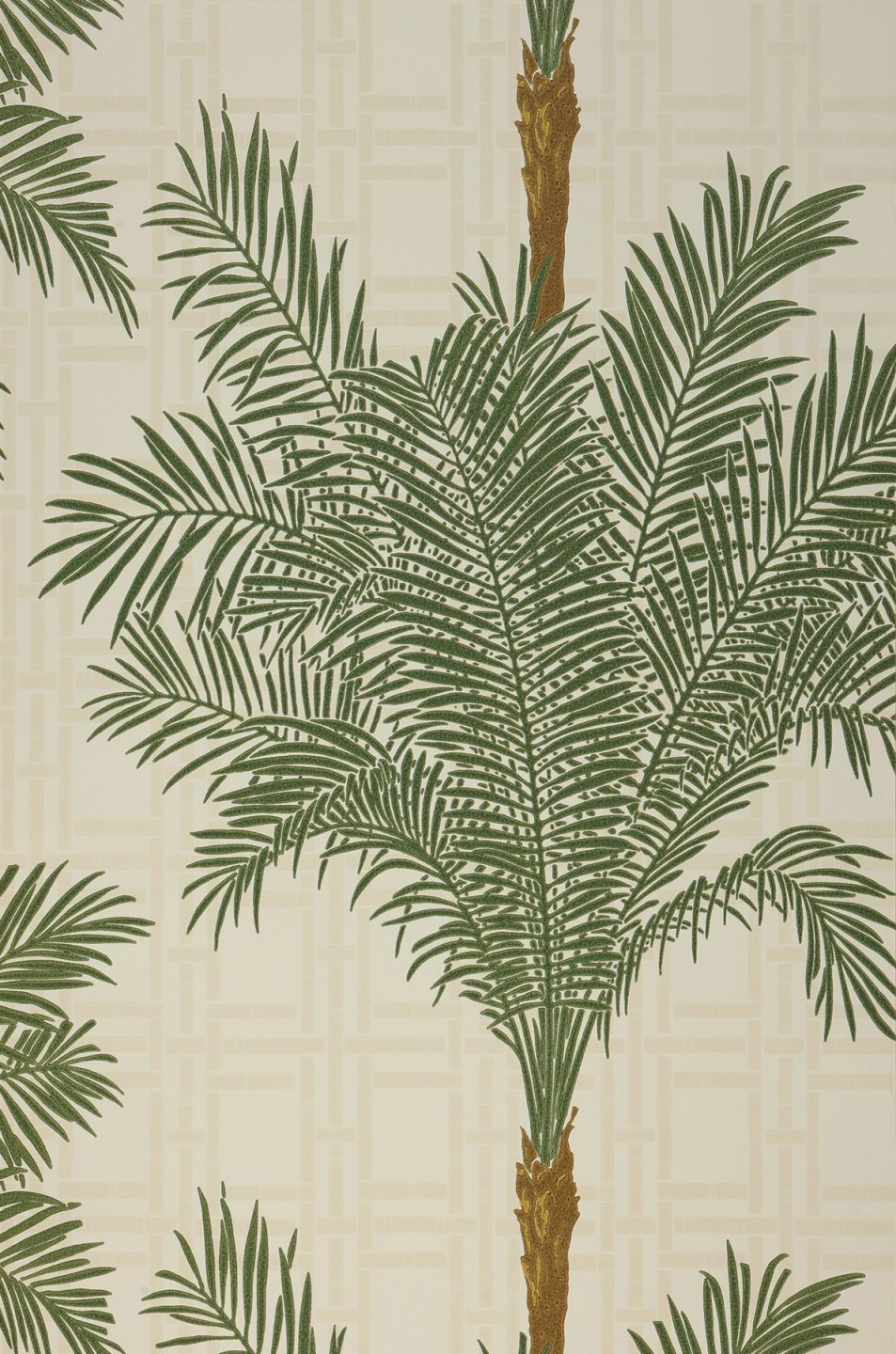  Hazara Dark Green