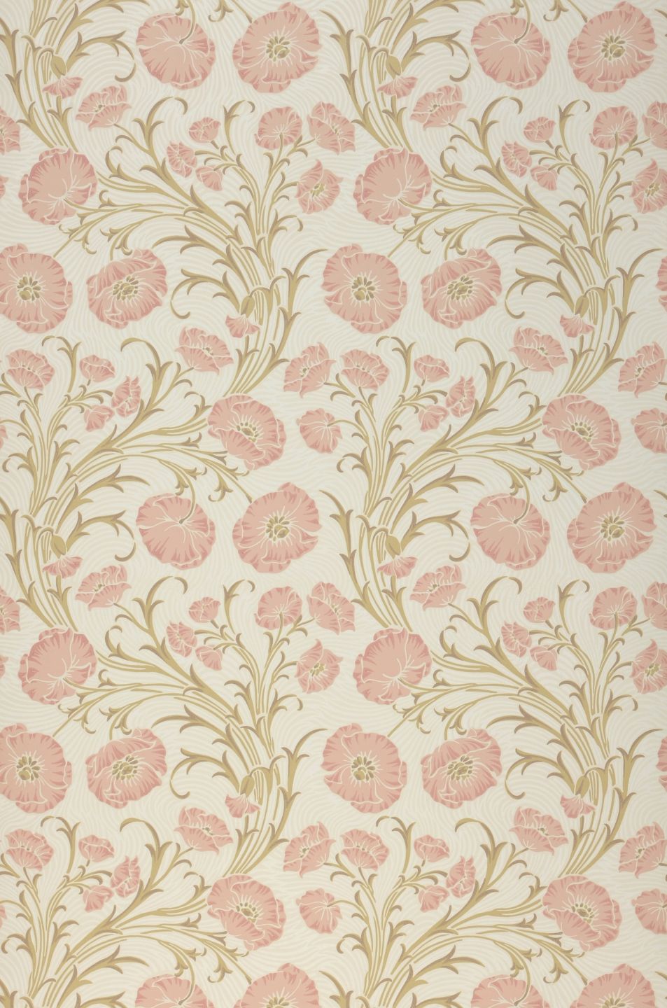  Scalaria Cream White