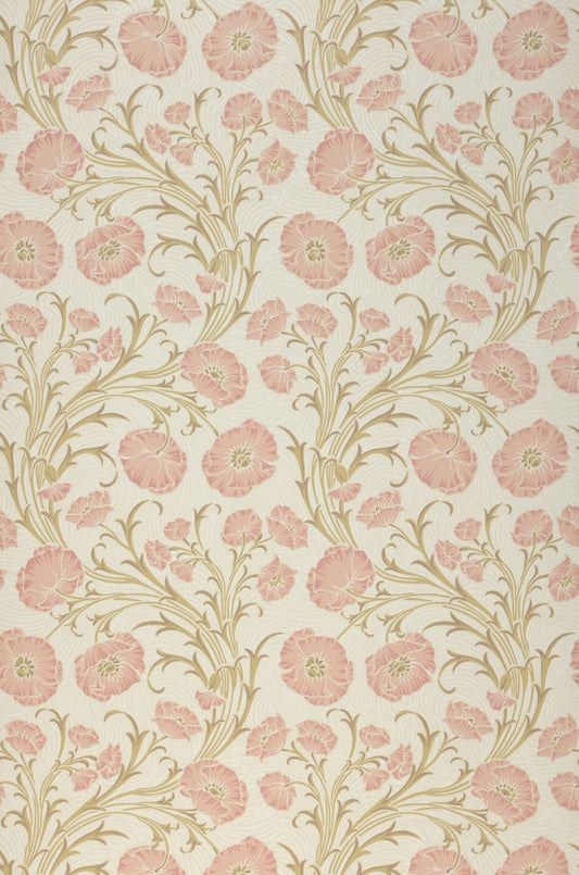  Scalaria Cream White