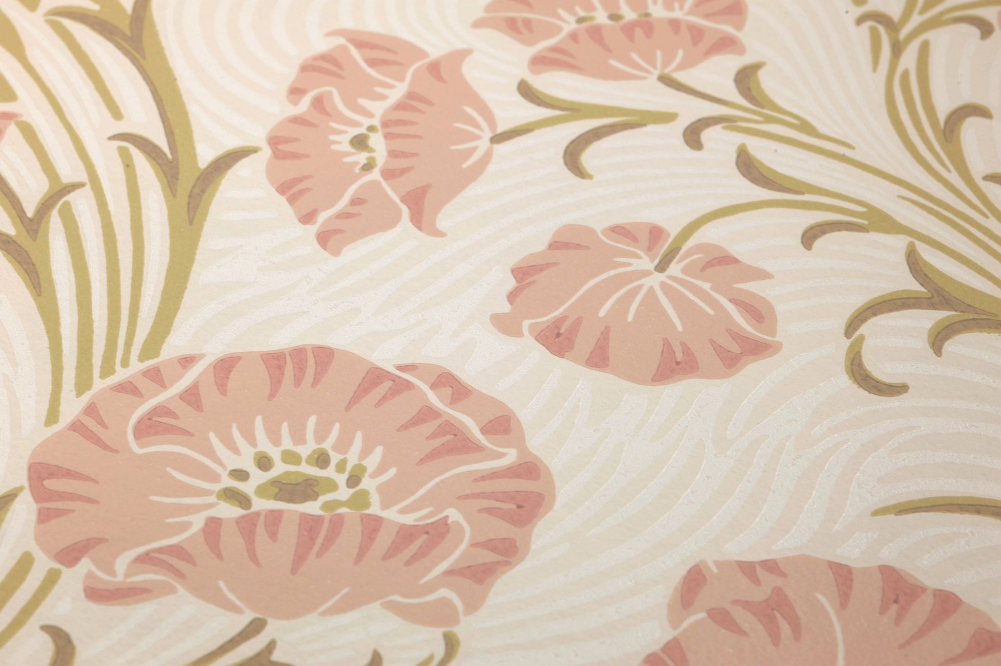  Scalaria Cream White