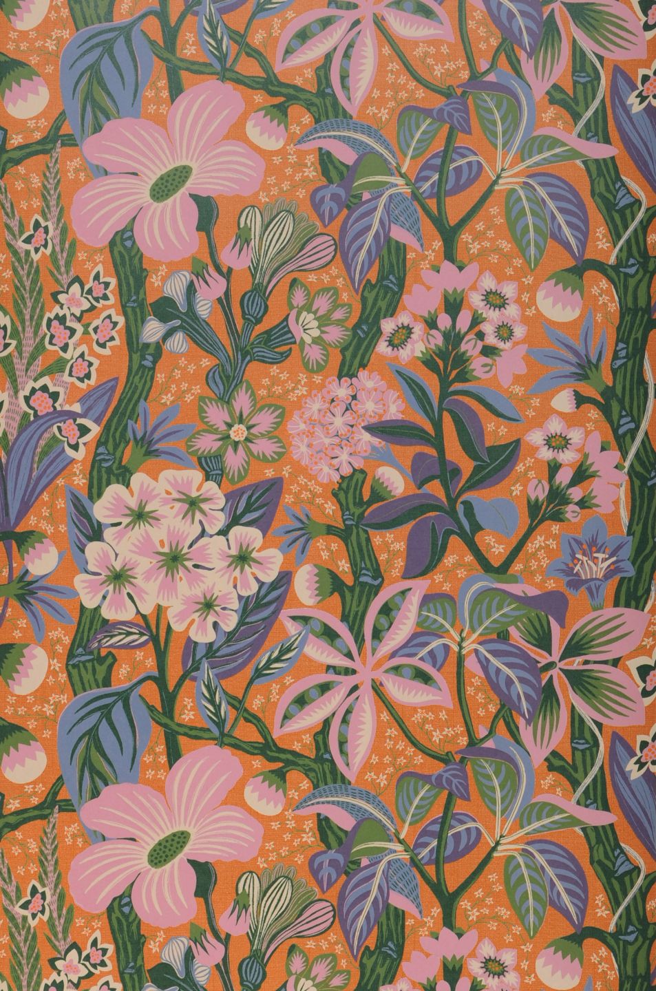  Fanfara Orange
