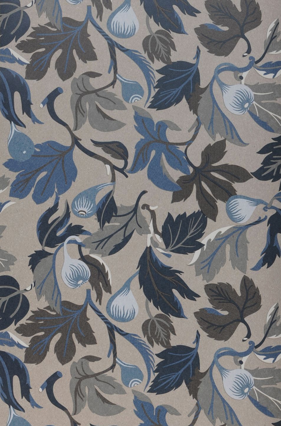  Mandolino Grey