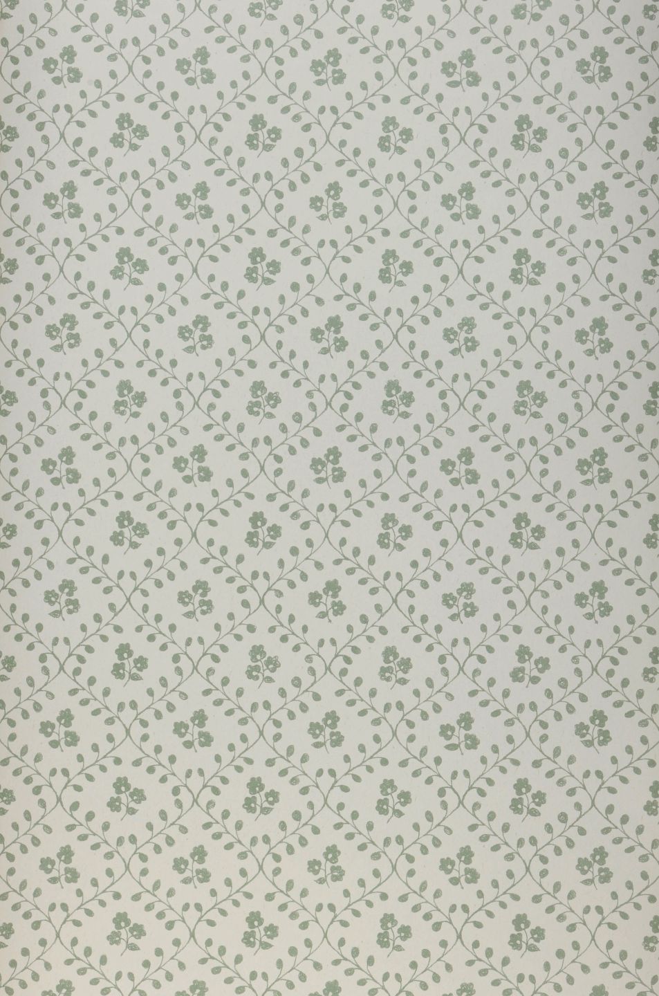  Tokessa Pine Green