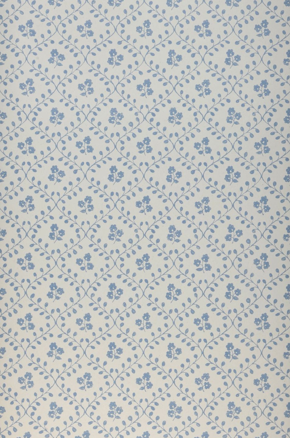 Tokessa Brilliant Blue