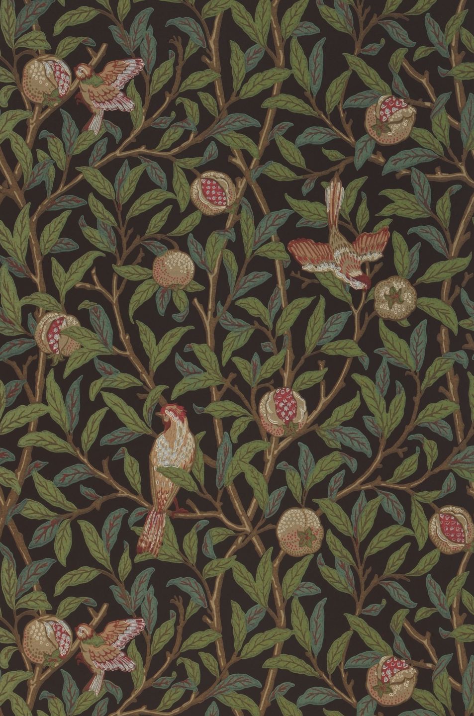  Jakobine Grey Brown