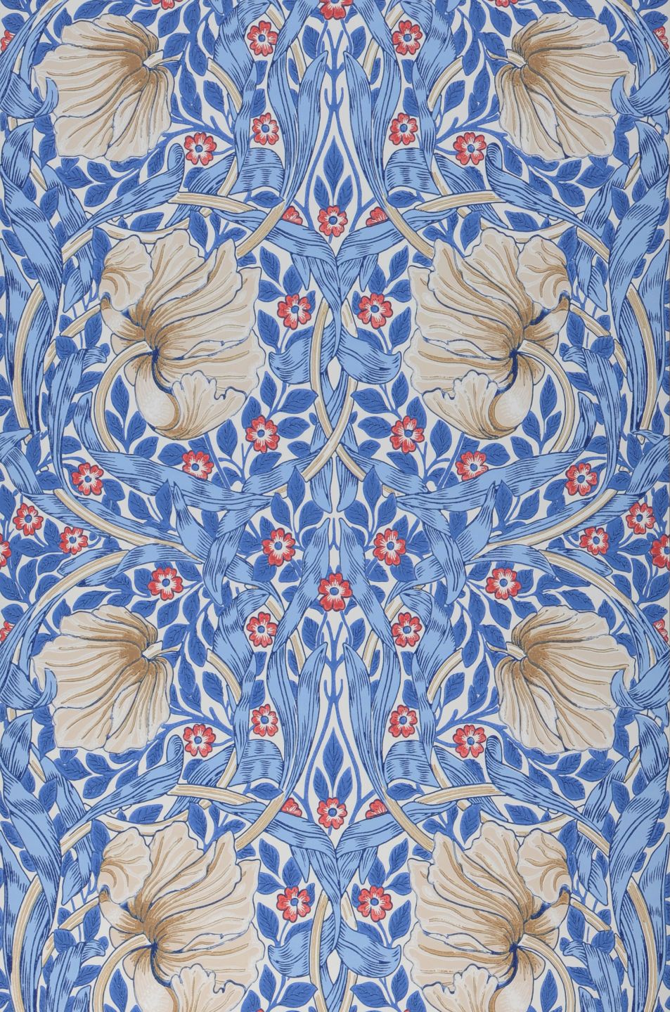  Despina Light Blue