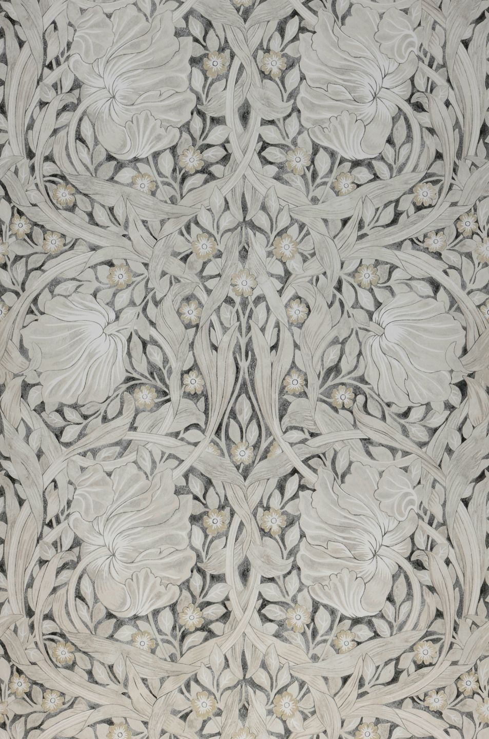 Despina Light Grey