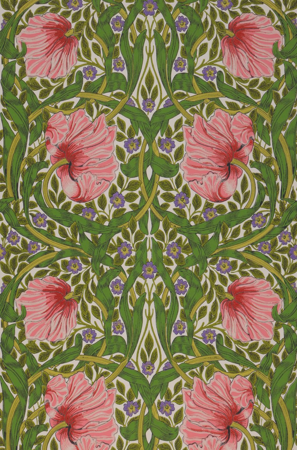 Despina Antique Pink