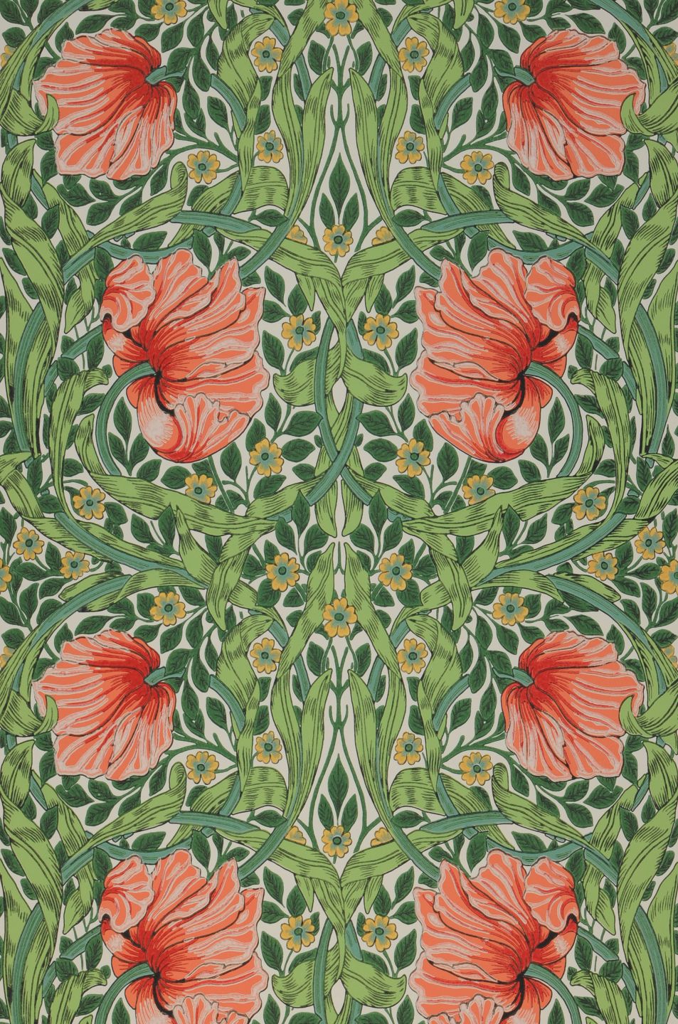  Despina Salmon Orange