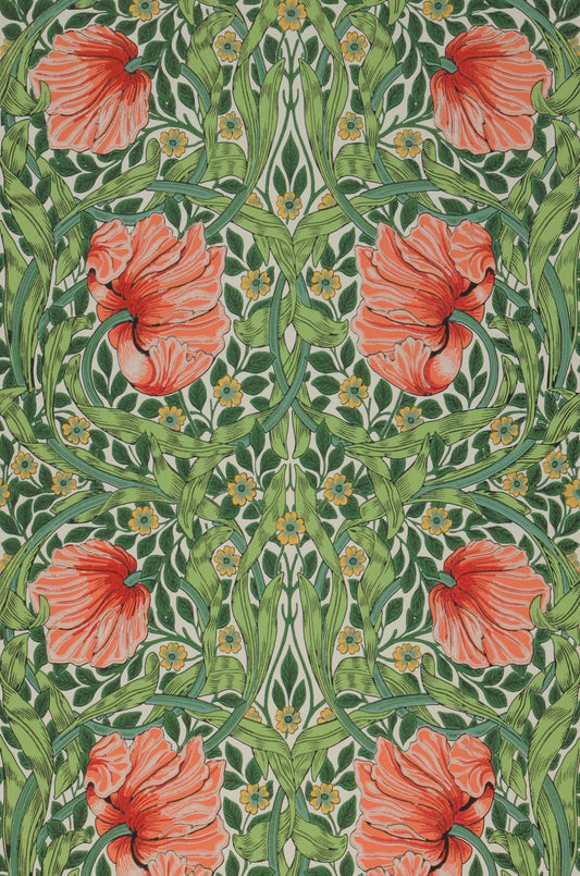  Despina Salmon Orange