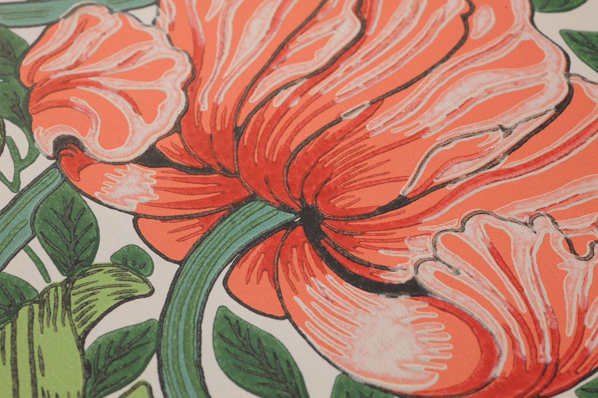  Despina Salmon Orange