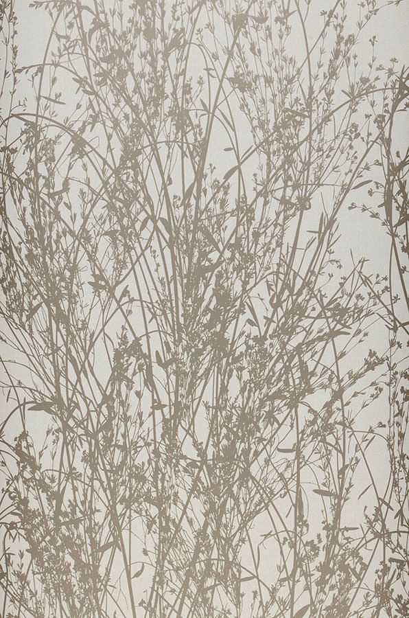  Amasa Grey Beige
