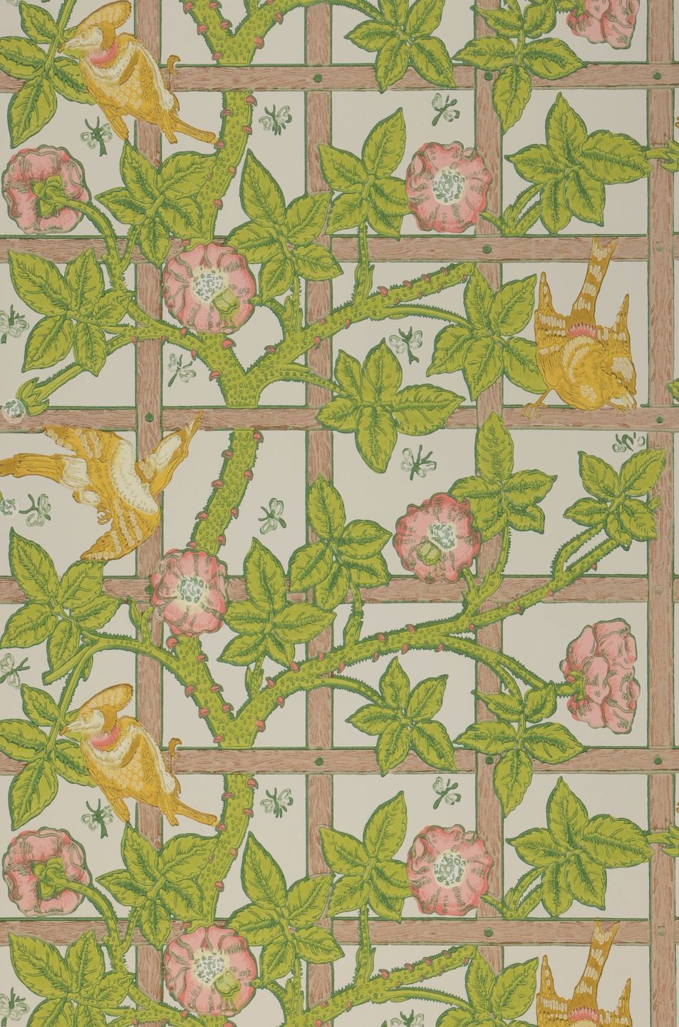  Matilda Yellow Green