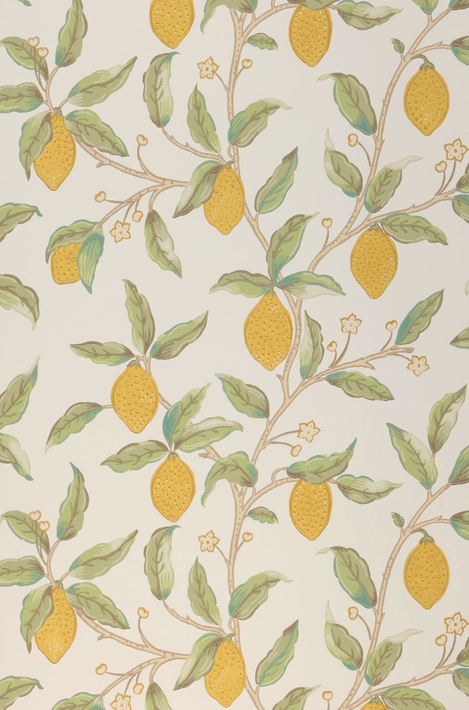  Lemon Tree Cream White
