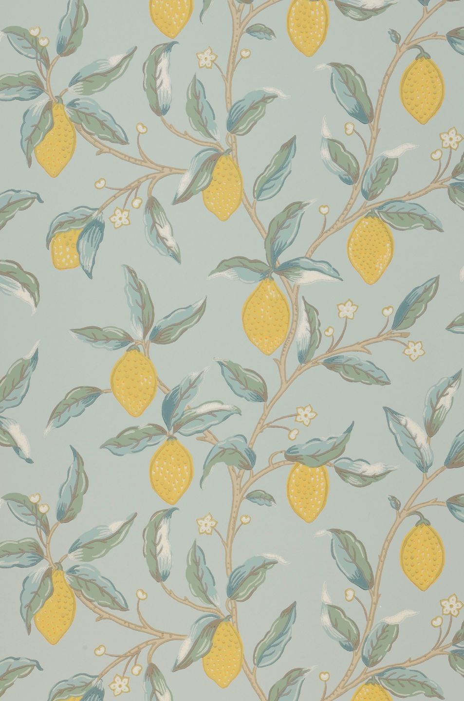  Lemon Tree Light Blue Grey