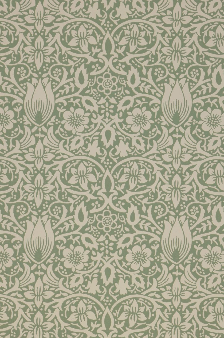  Borage Light Green-grey