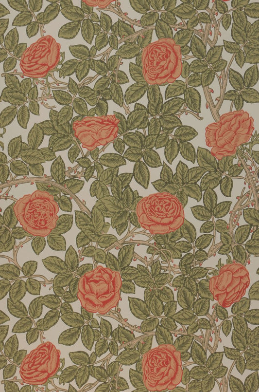  Rambling Rose Coral Red