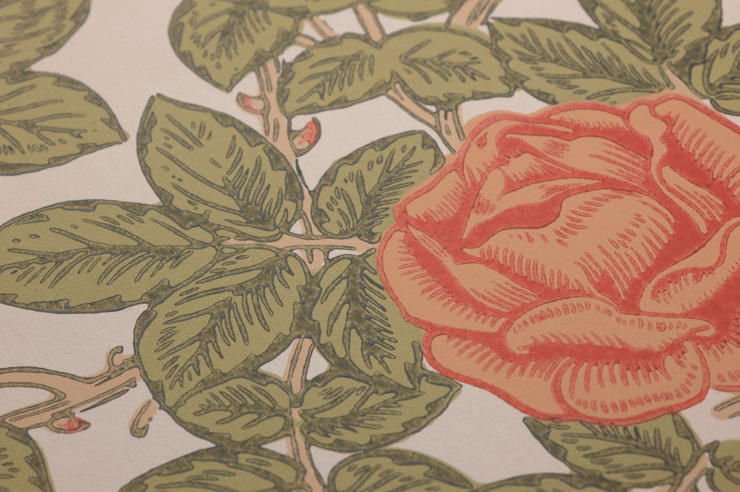  Rambling Rose Coral Red