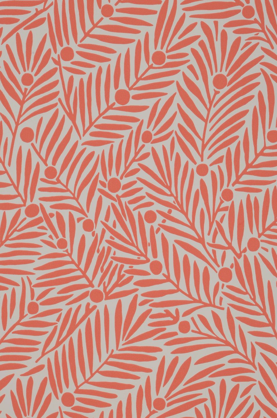  Yew And Aril Salmon Orange