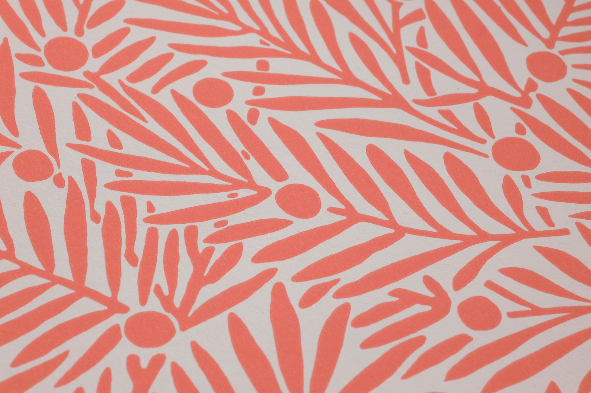  Yew And Aril Salmon Orange