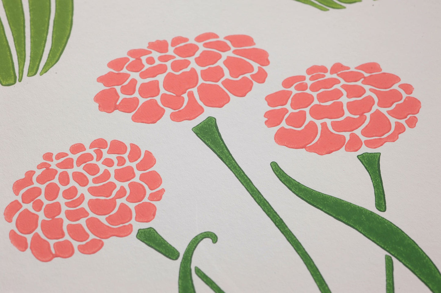  Glade Tulip White