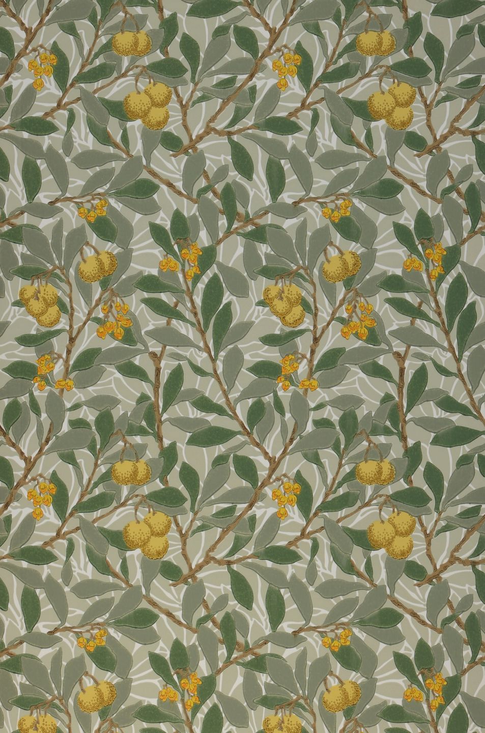  Arbutus White