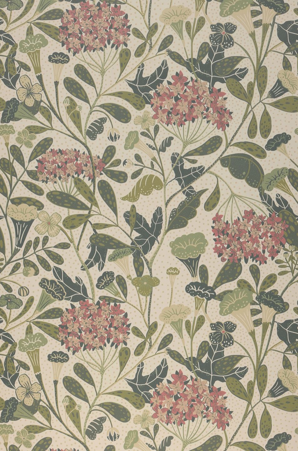  Flowery Cream